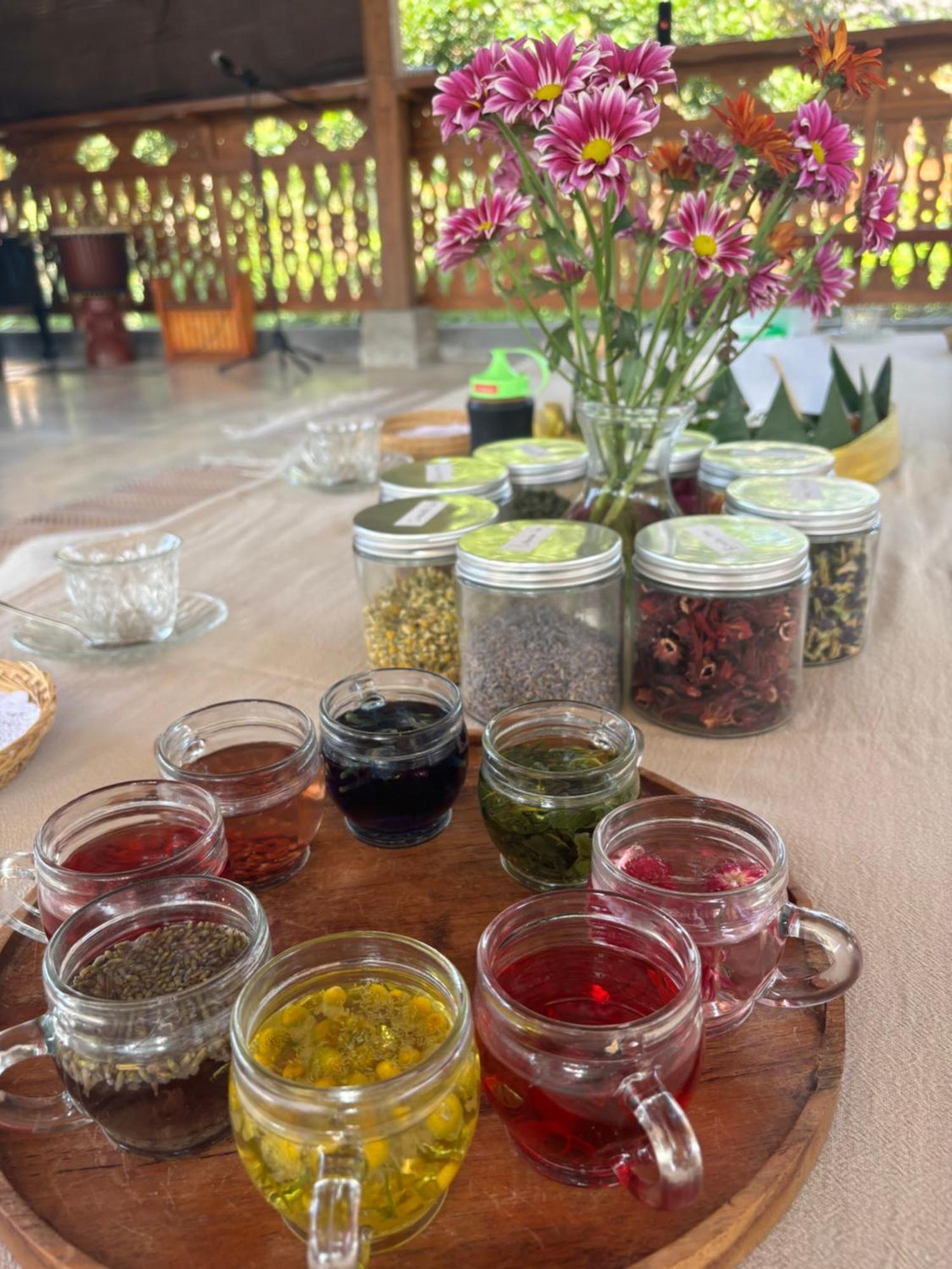 Nunu Bali Eco Friendly Retreat Canggu (Bali)