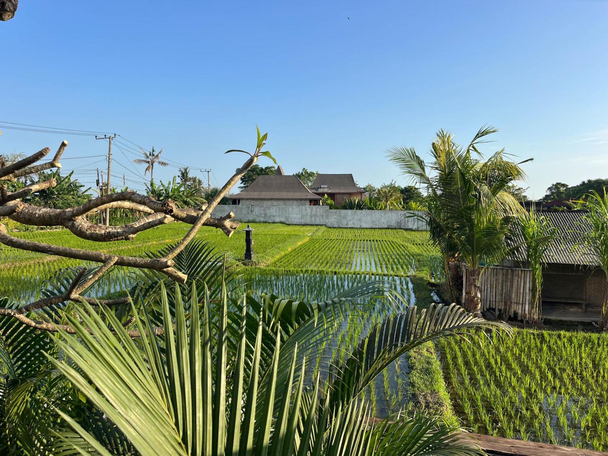 Unit Space Village Hotel Canggu (Bali)