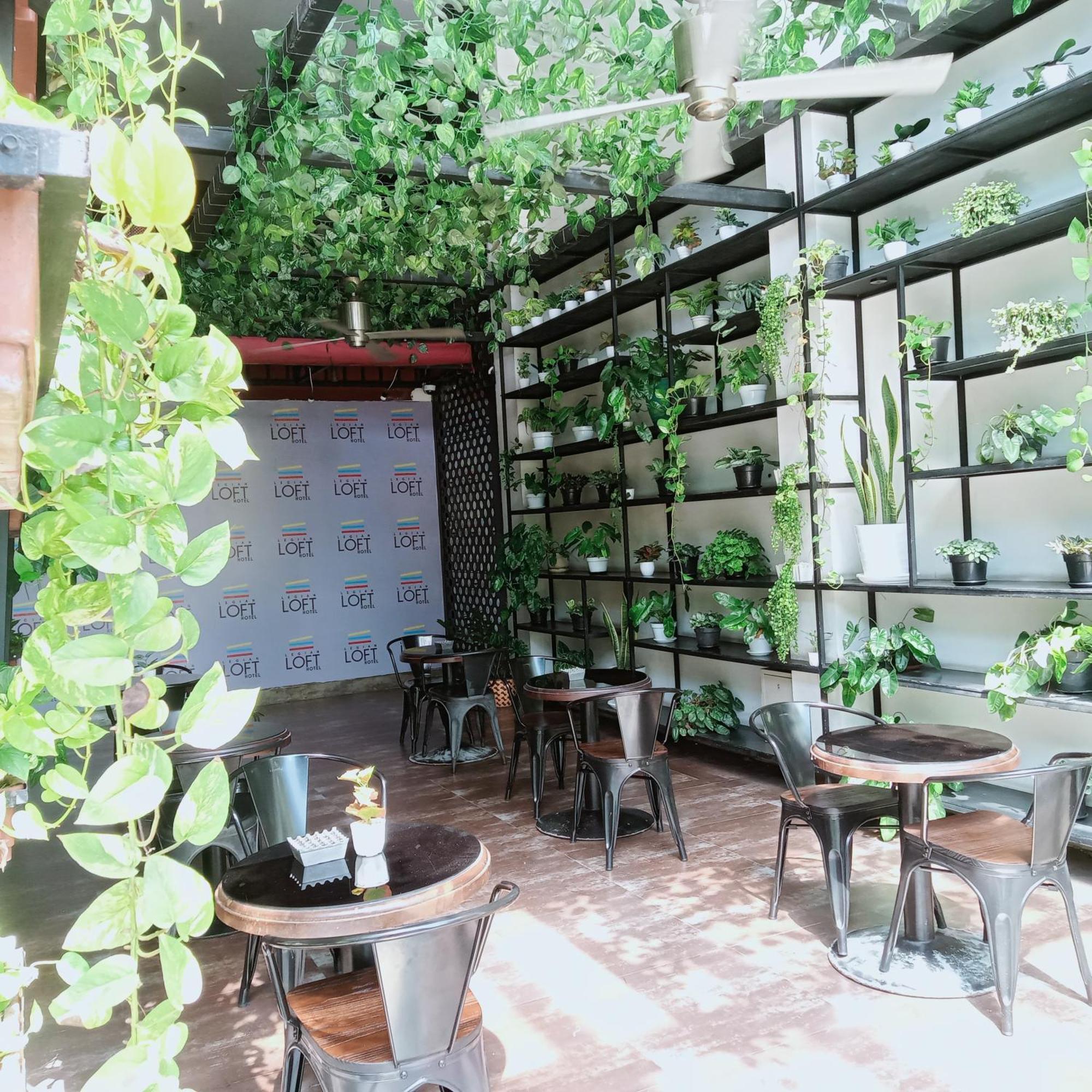 Hotel Loft Bali Legian (Bali)
