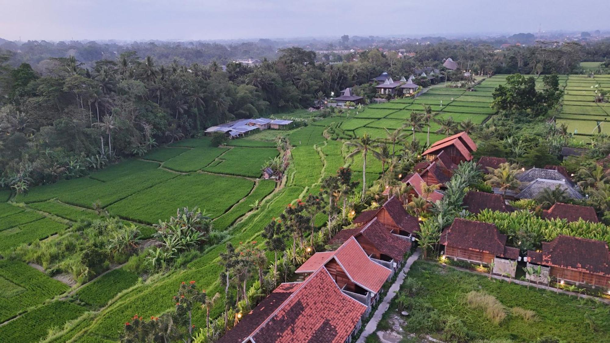 Holiday park Art Ubud (Bali)