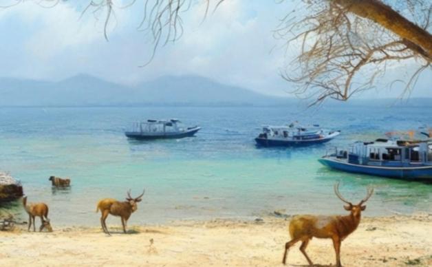 The & Turtle Sanctuary 5*