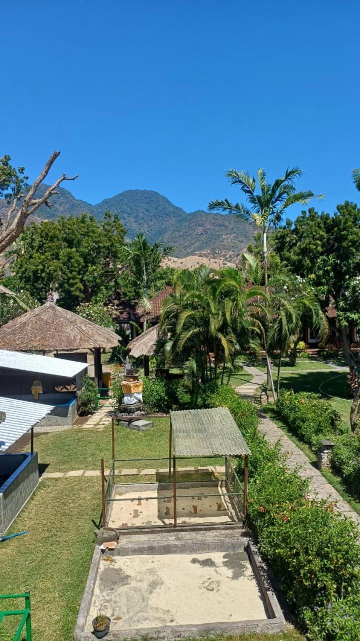 The & Turtle Sanctuary 5*