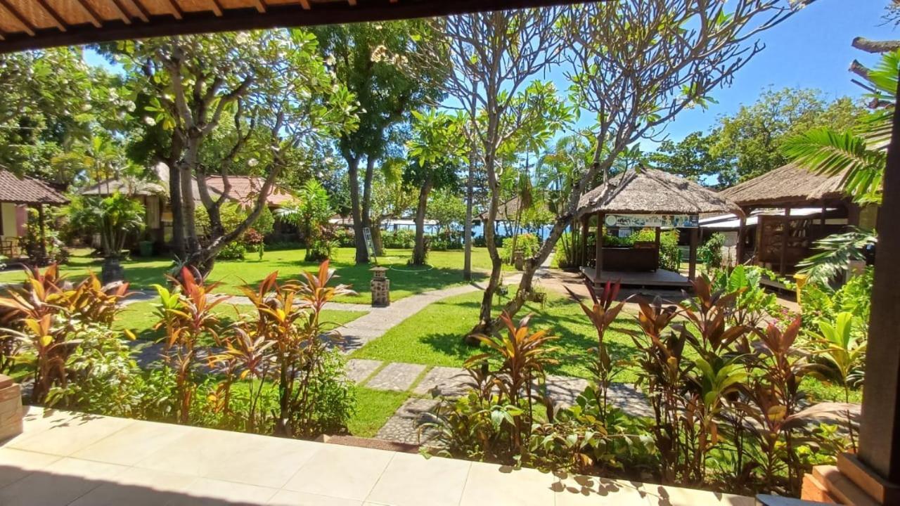 Hotel The & Turtle Sanctuary 5*