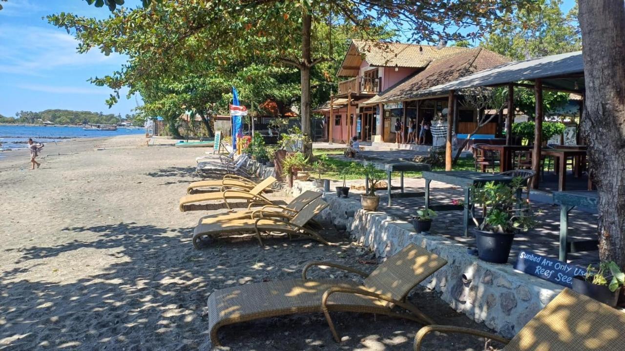 The & Turtle Sanctuary