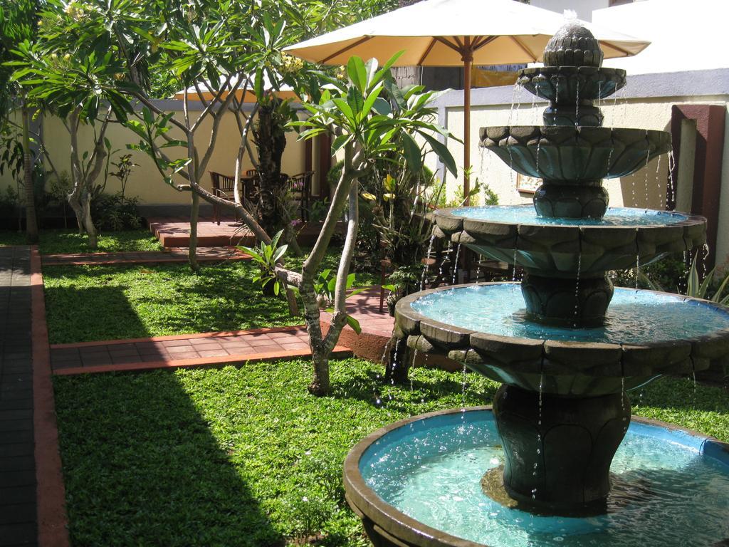 Frangipani