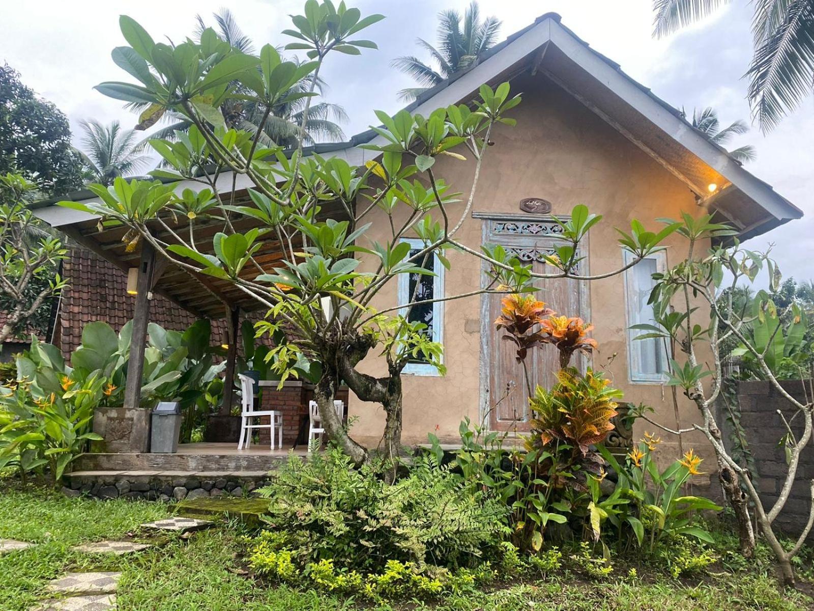 Guest house Alam Kowang Tejakula