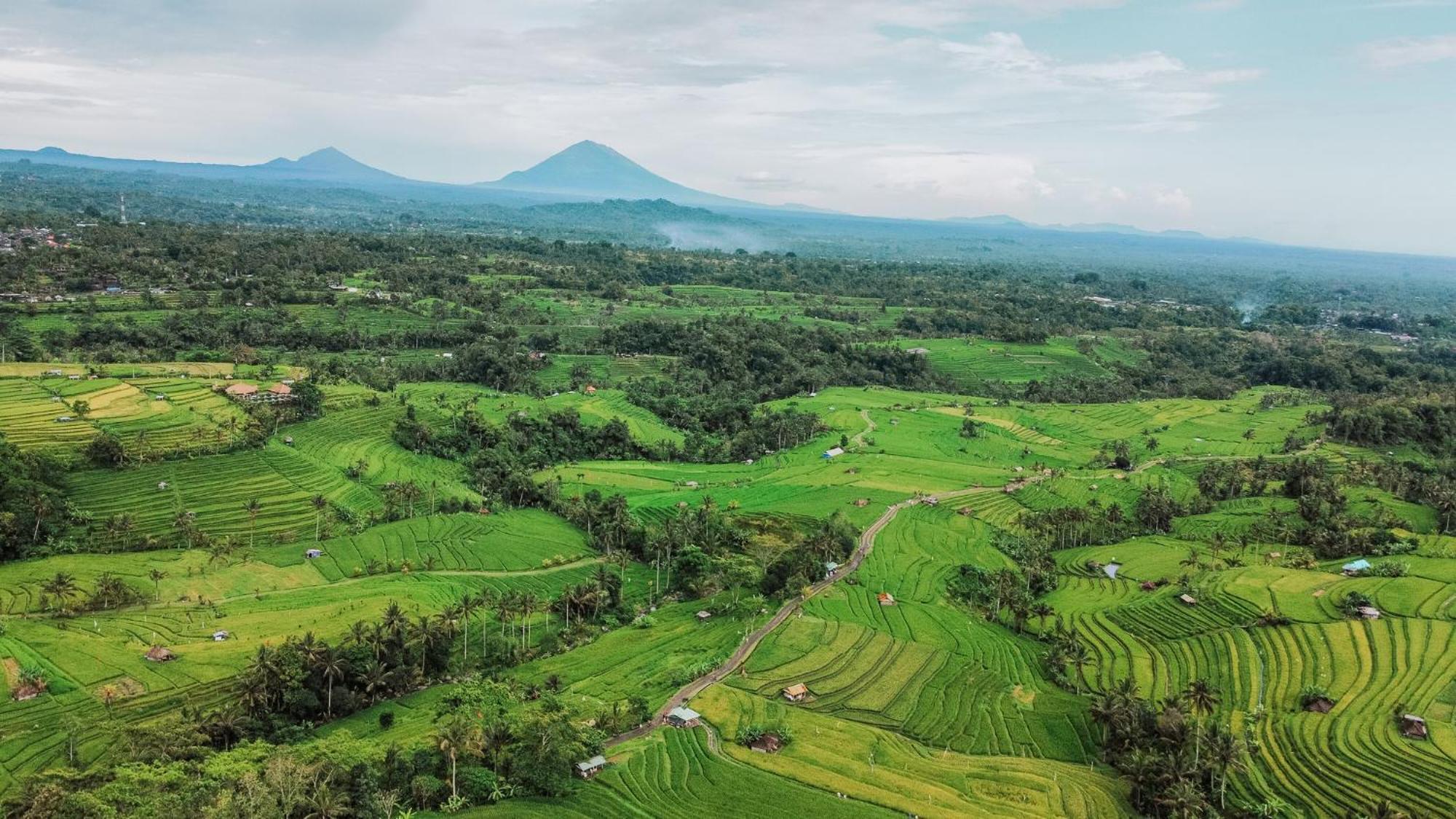 Tempat Tidur & Sarapan Bhuana Agung Villa&restaurant By Ecommerceloka Jatiluwih