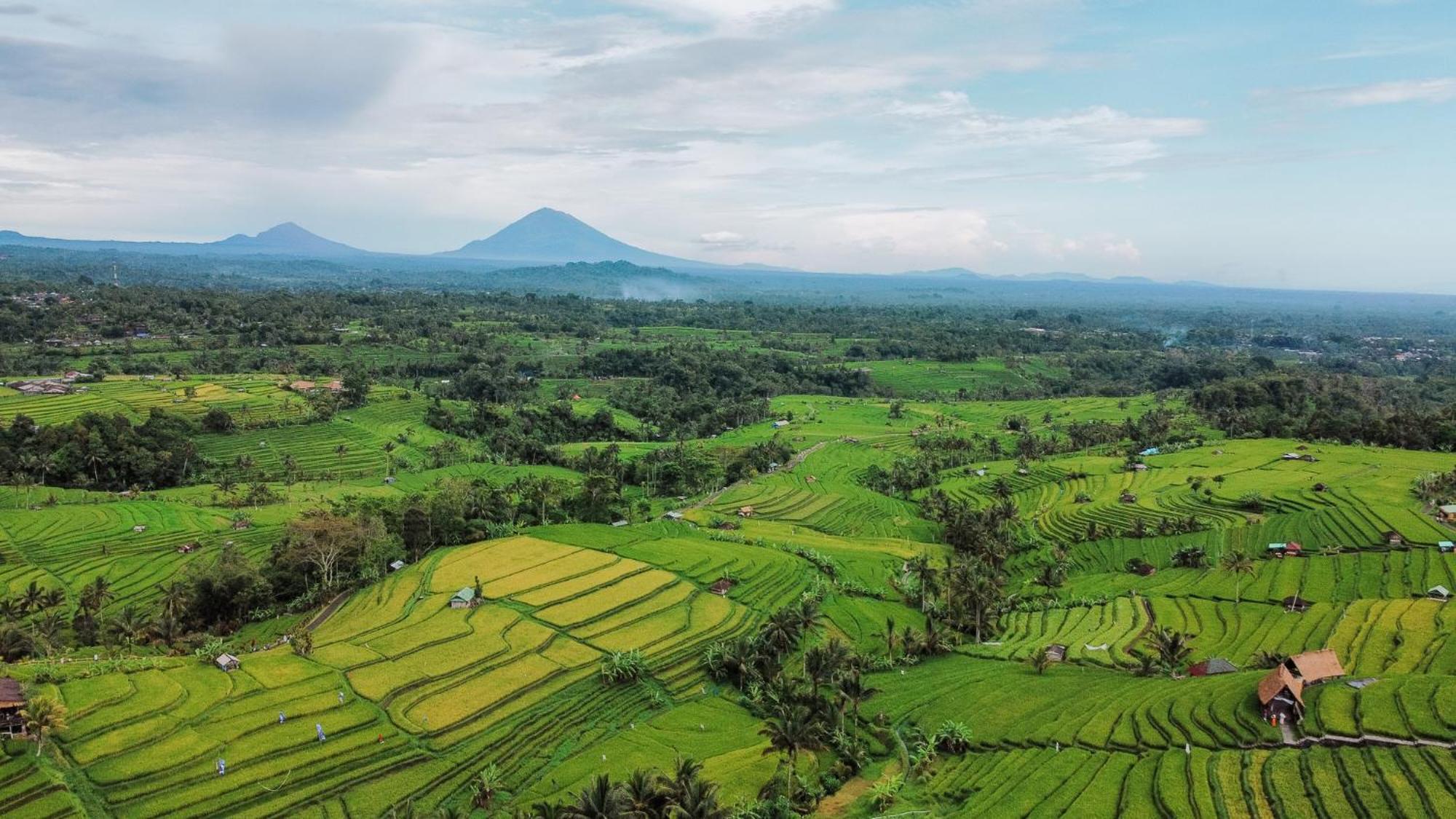 Bhuana Agung Villa&restaurant By Ecommerceloka Jatiluwih