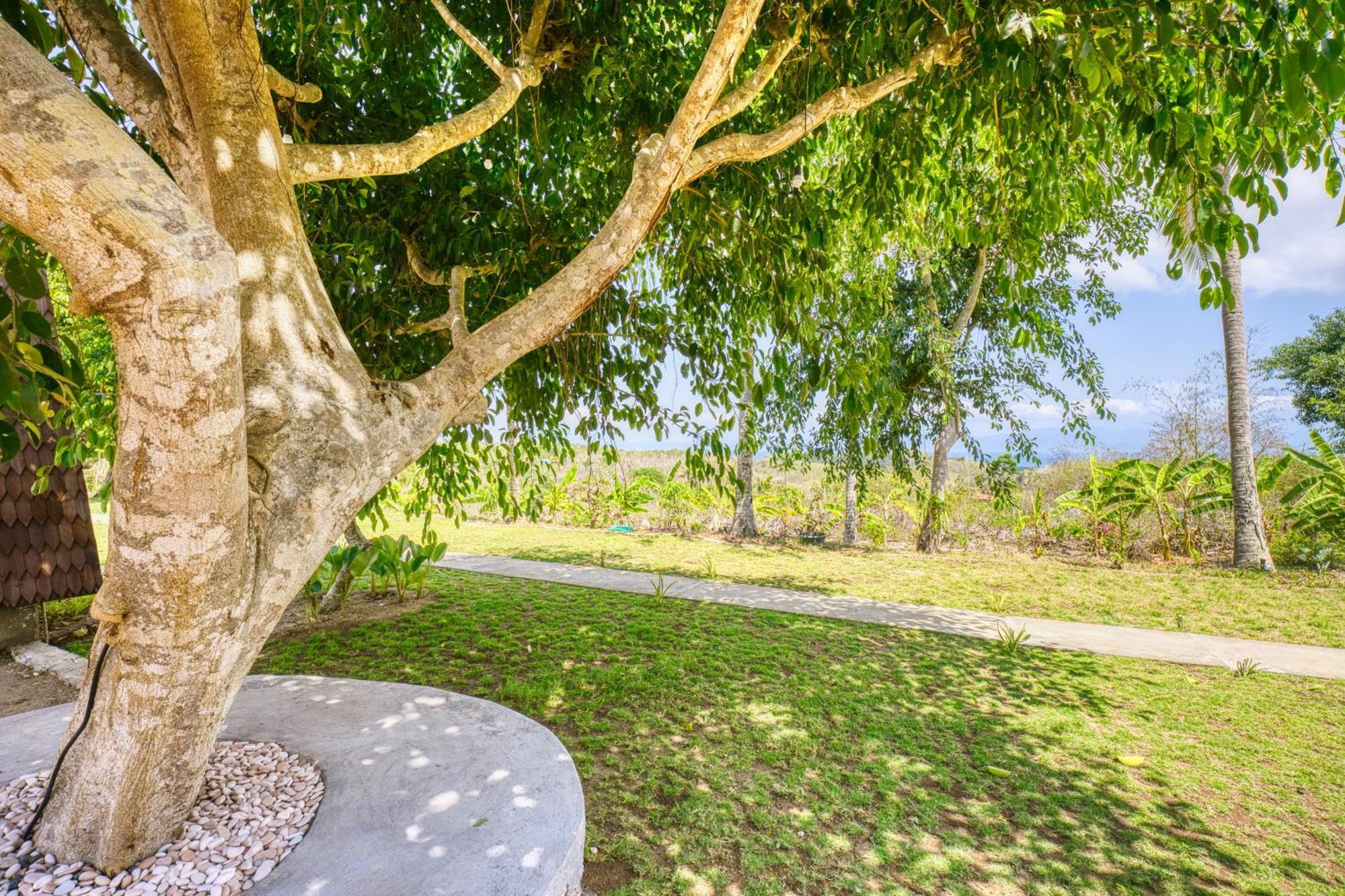 Campsite Nature Hill Penida *