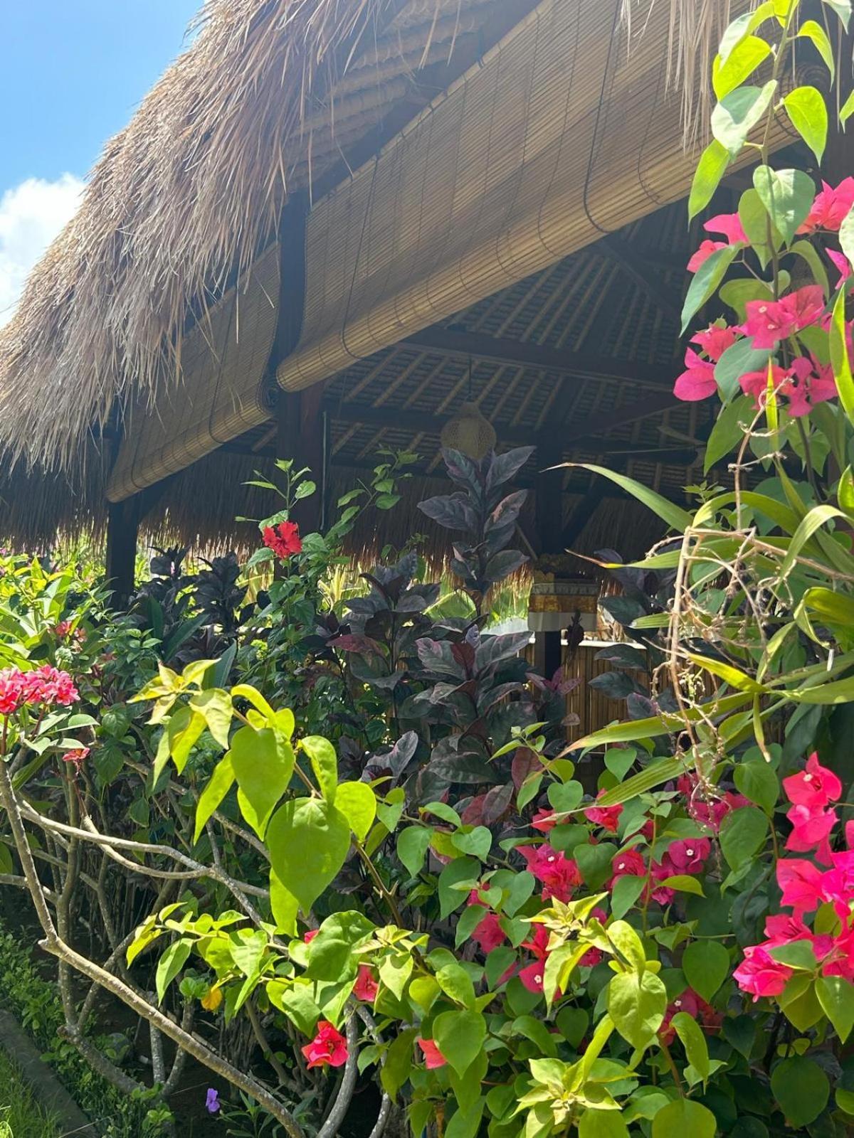 Island Garden Huts Bed & Breakfast 3*