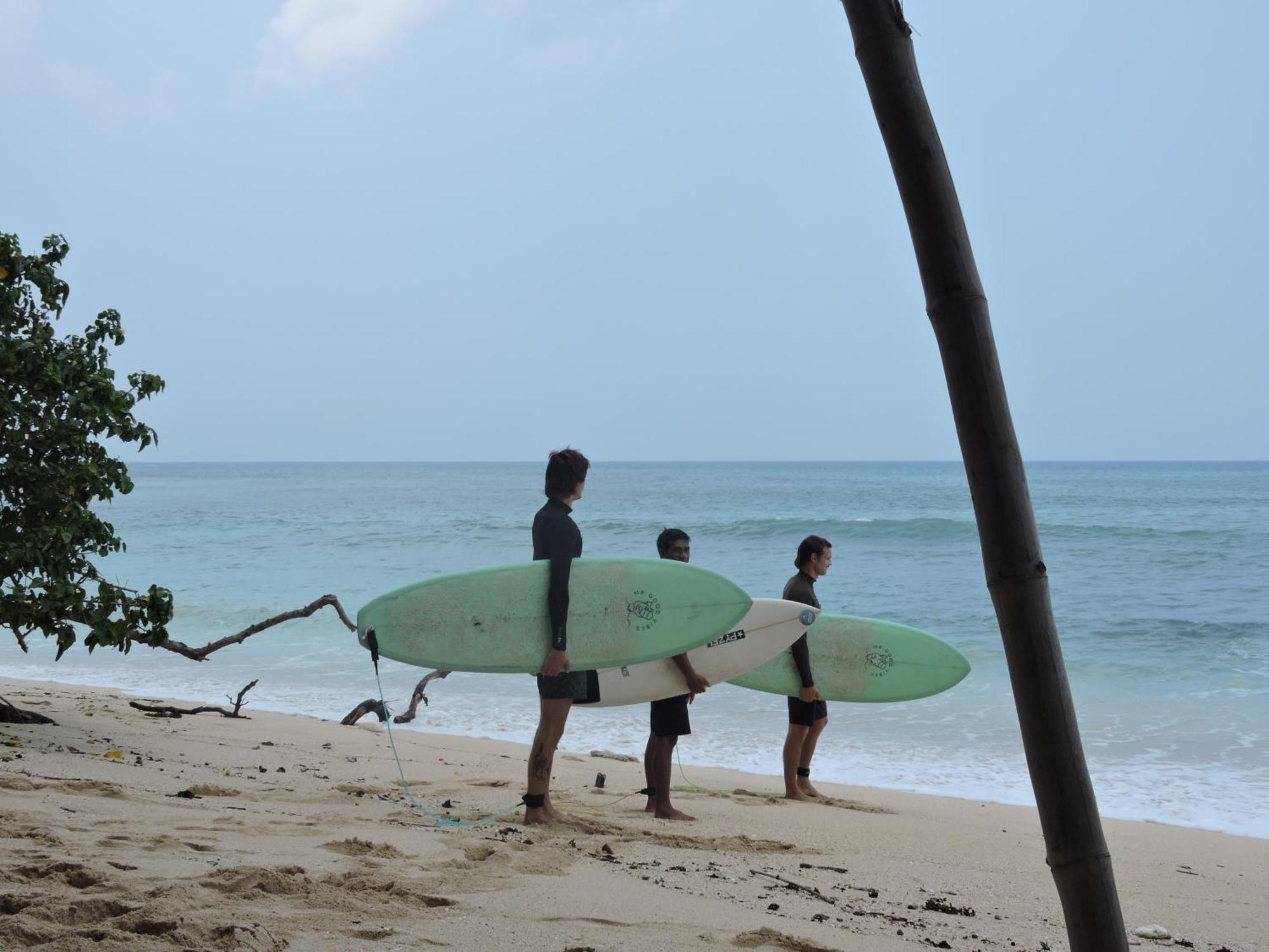 Ayolah Surf House &surf Camp Homestay