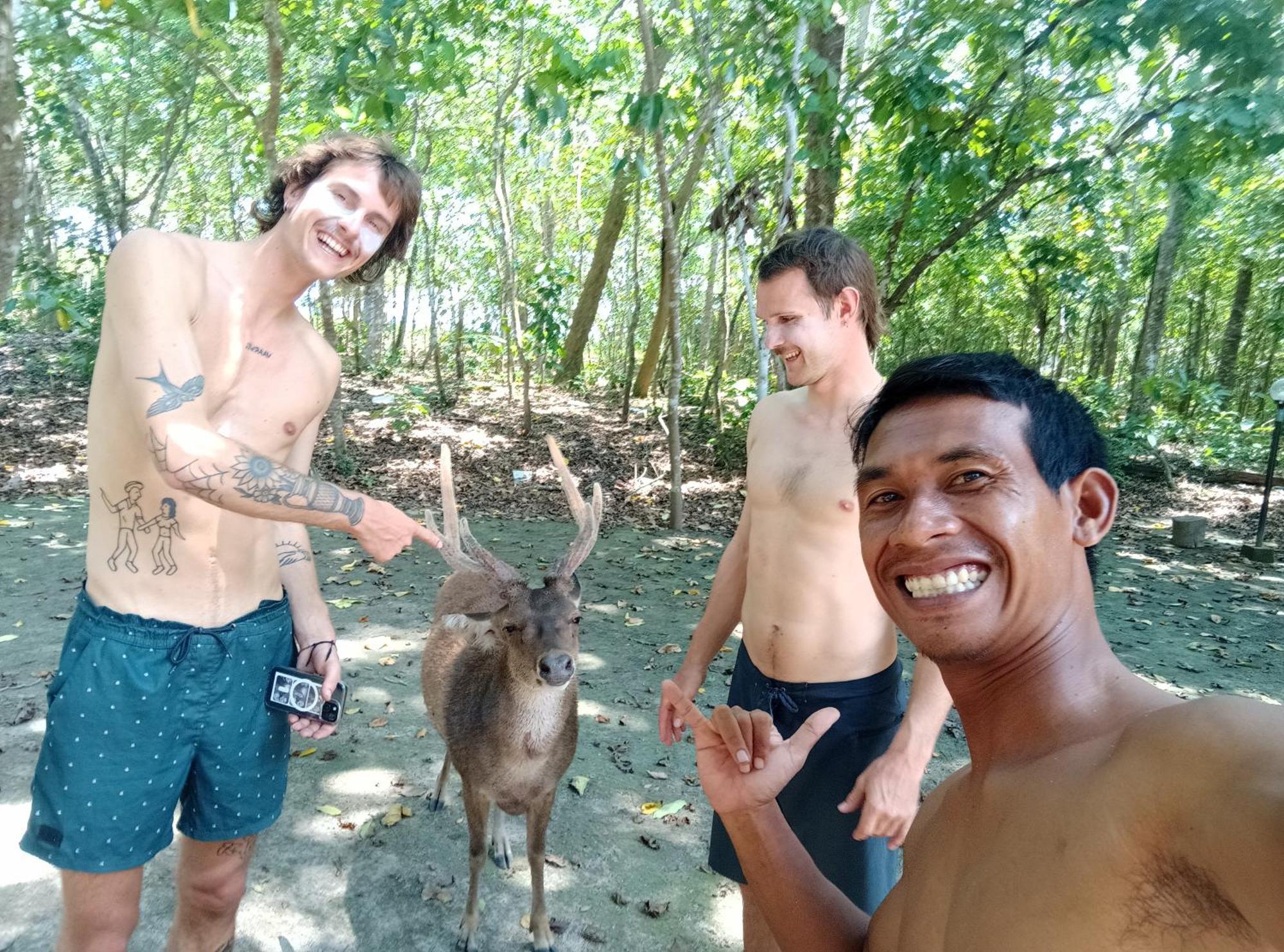 Ayolah Surf House &surf Camp *