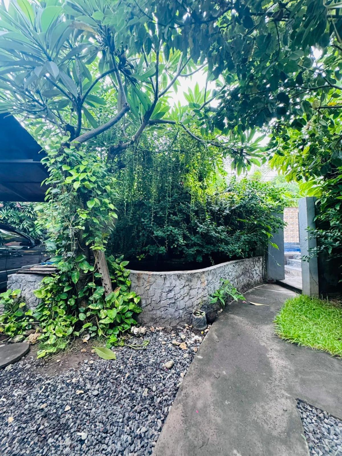Guest house Putu