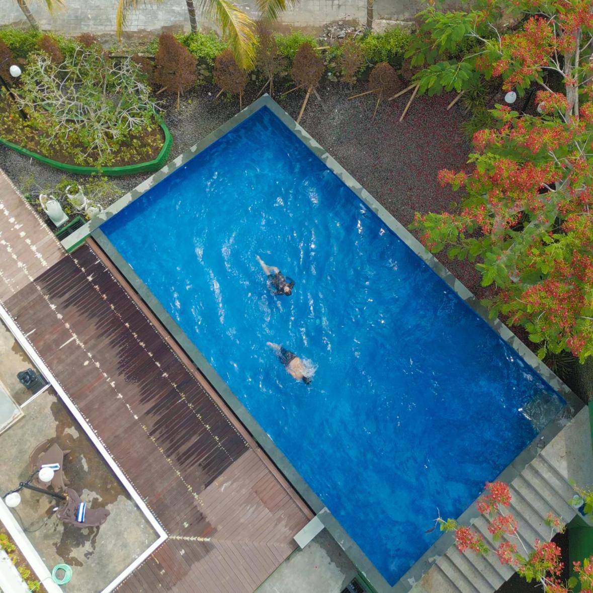 Flamingo Aquila Hotel 3*