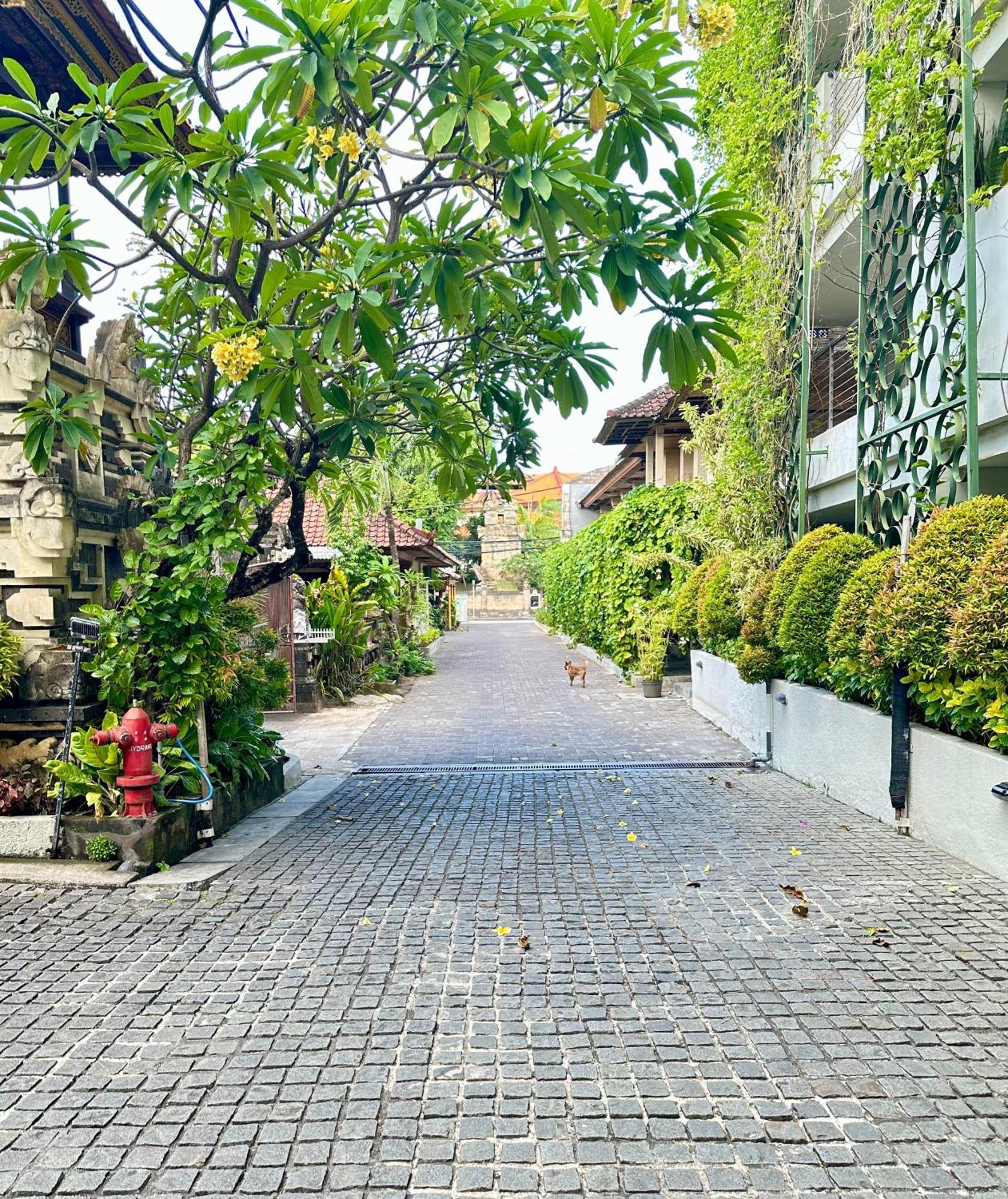 Hotel Ion Bali Benoa Nusa Dua (Bali)