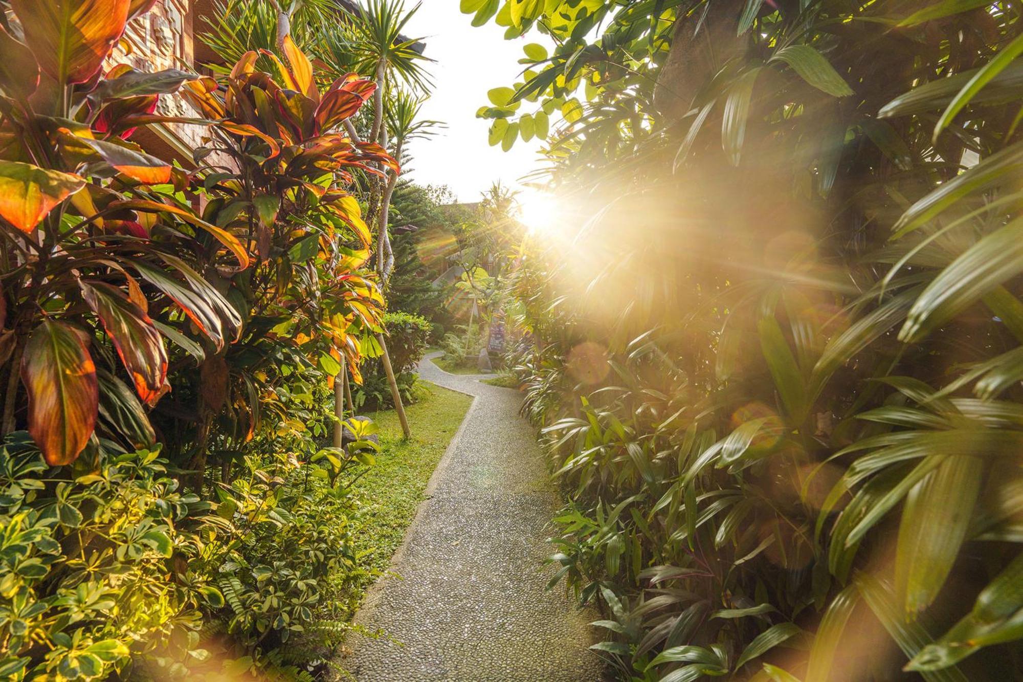 Rama Phala & Ubud (Bali)