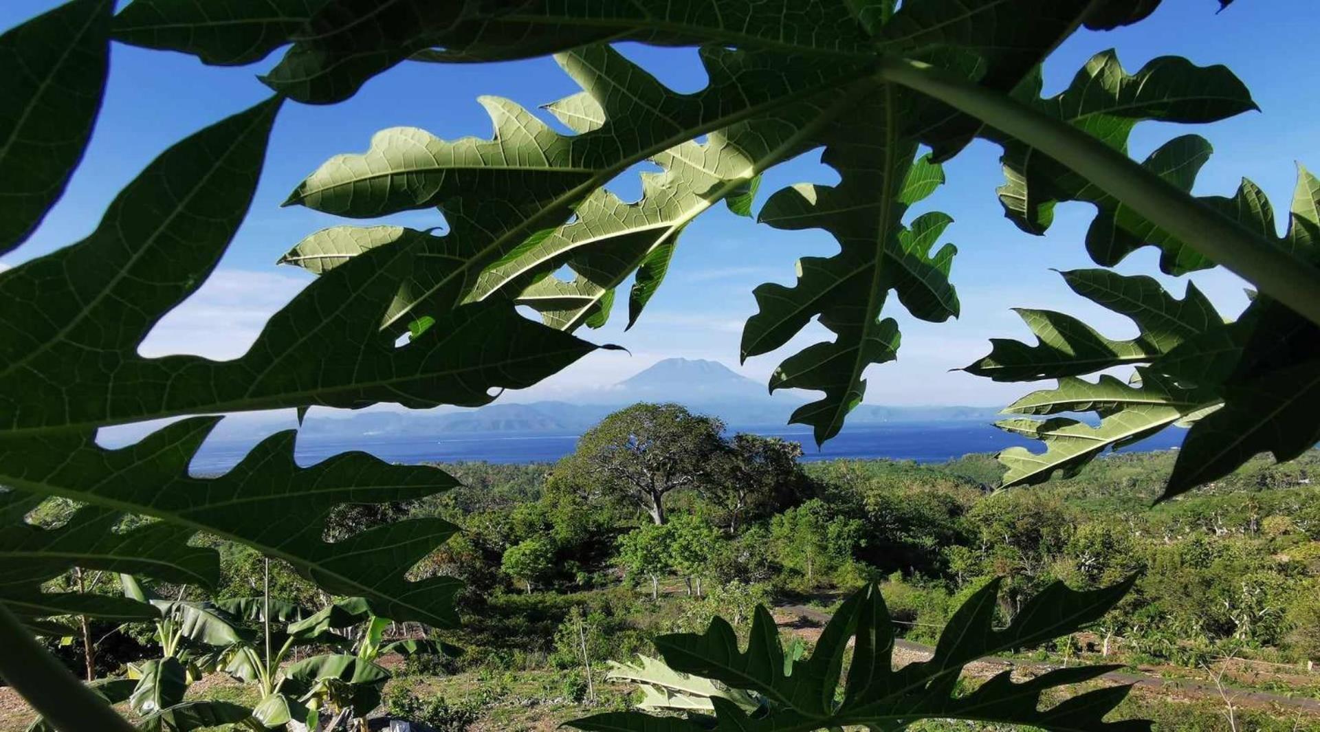 Bed & Breakfast Eden Eco-villas With Private Pool & Sea View - Adult Only *