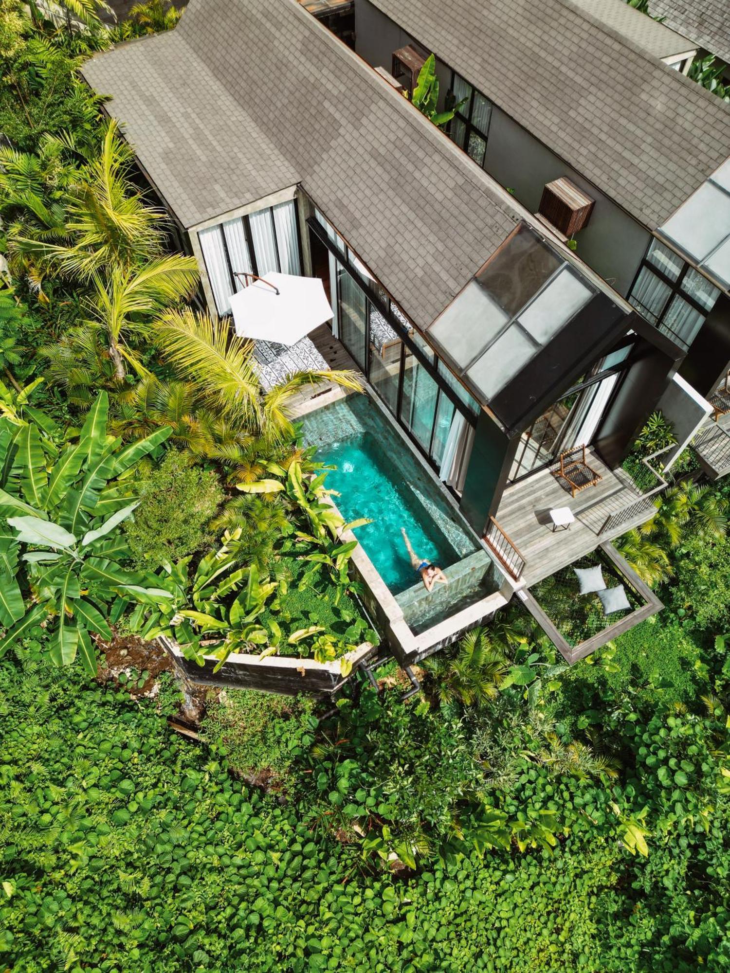 Magical Jungle Ubud (Bali)