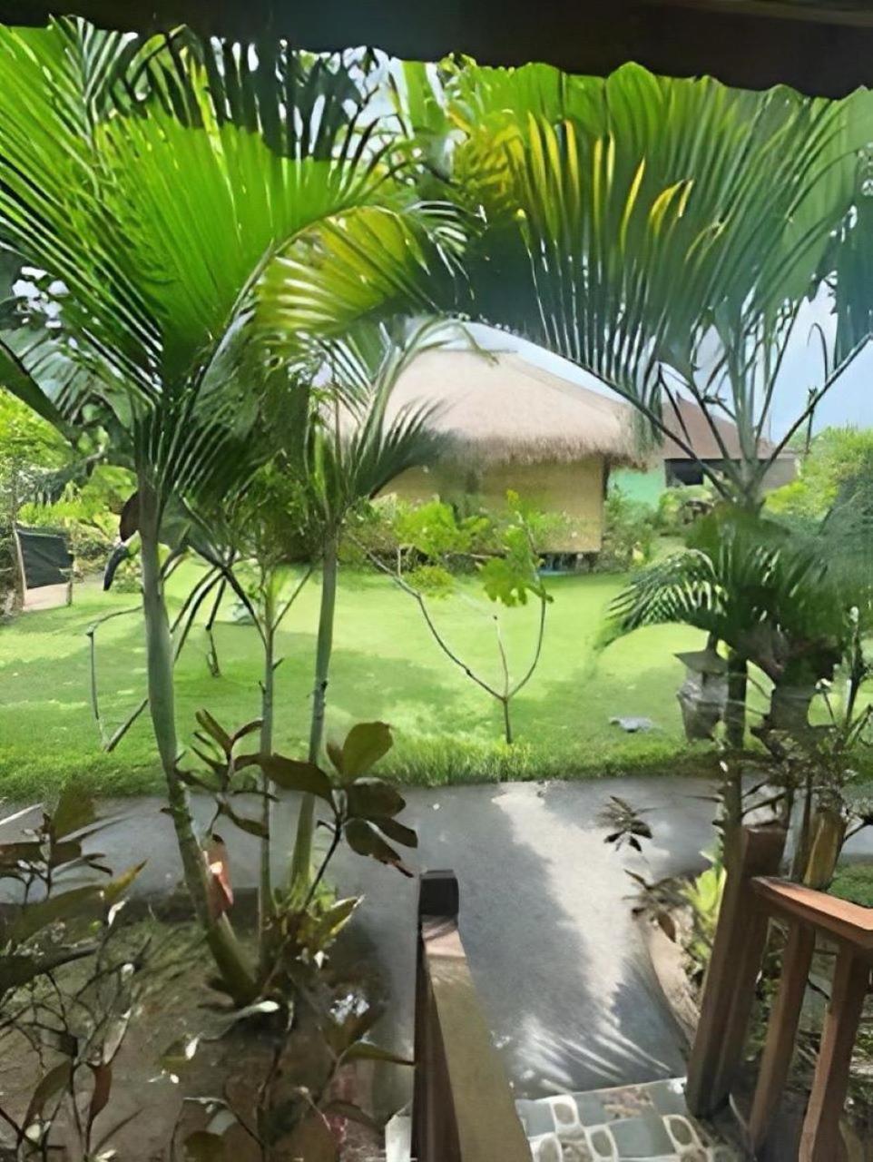 Island Garden Huts Bed & Breakfast 3*
