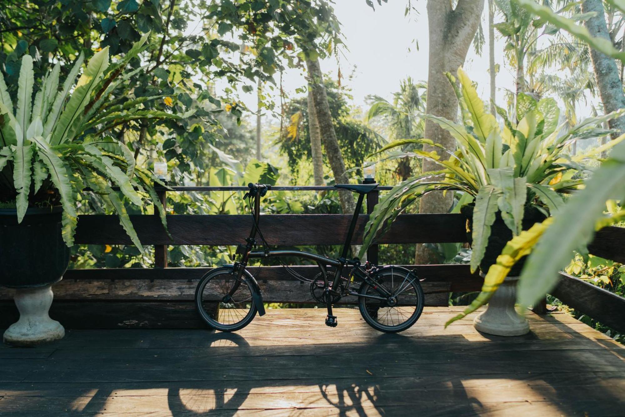 Resort Alam Penari Ubud (Bali)