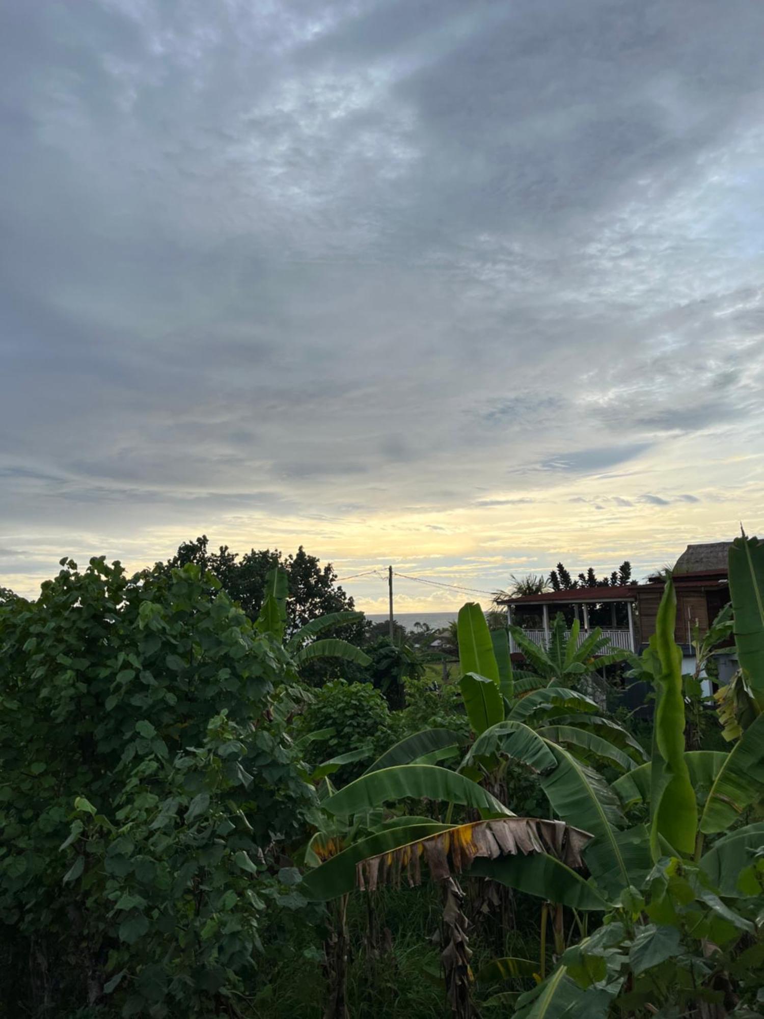 Homestay Ayolah Surf House &surf Camp *