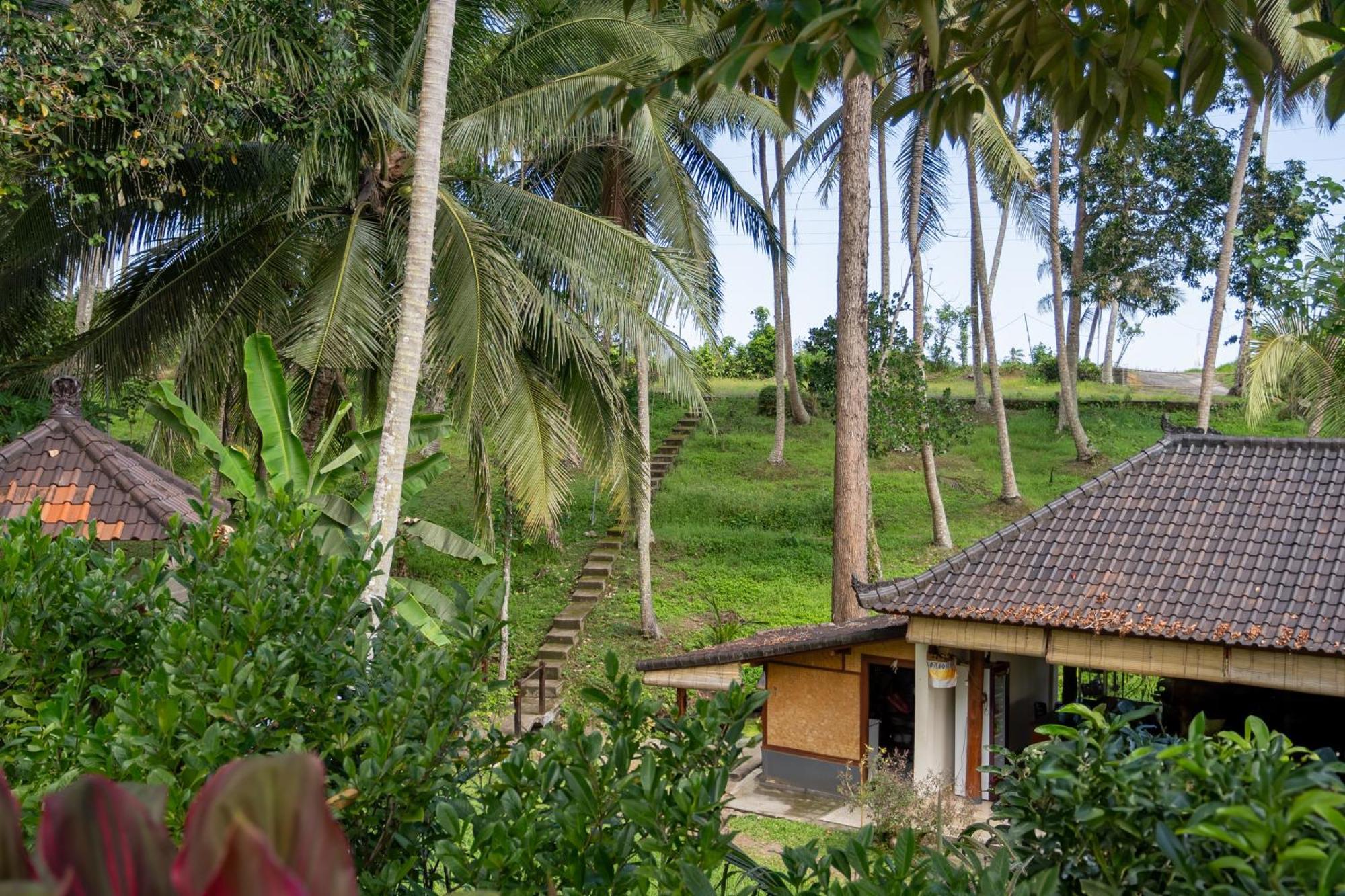 Hari Baik Balian