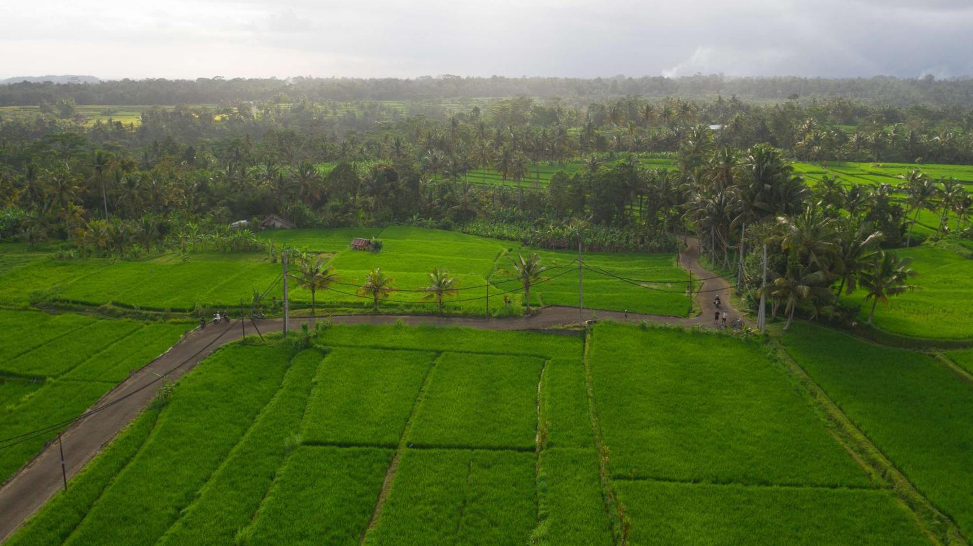 Alila Ubud 5* Gianyar (Bali)