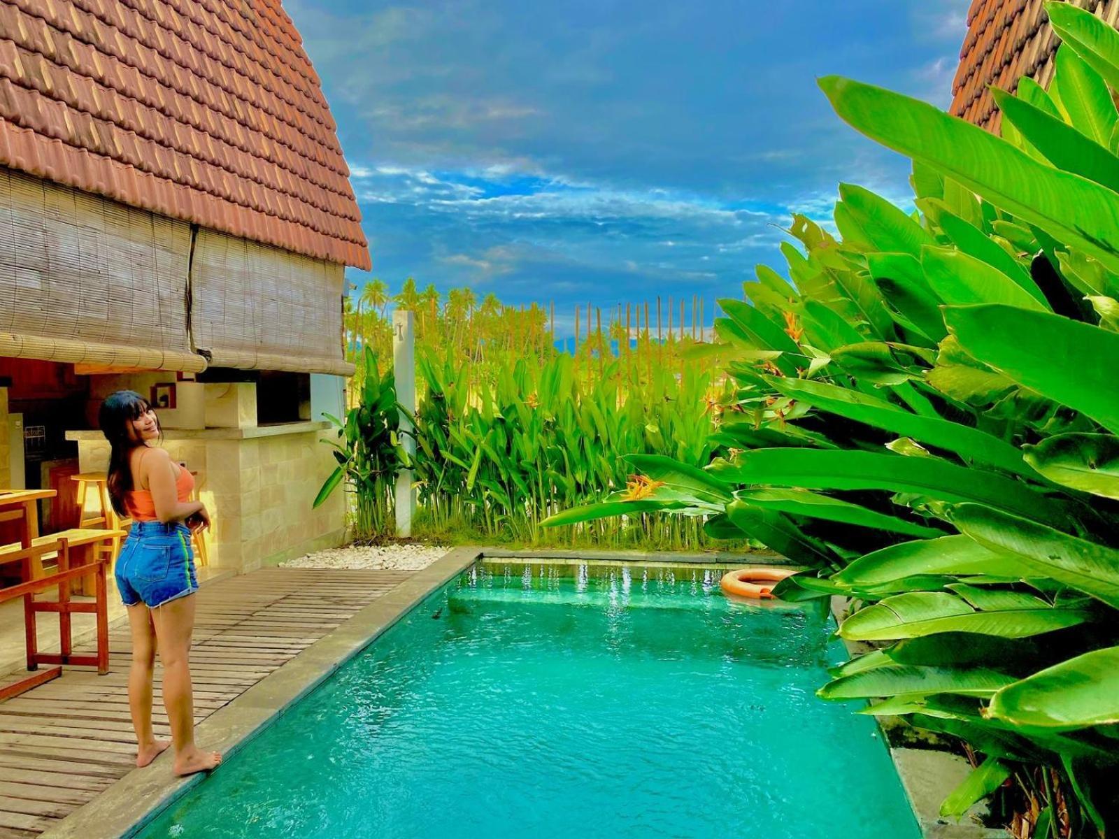 Bhumi Lovina & Villa Singaraja (Bali)