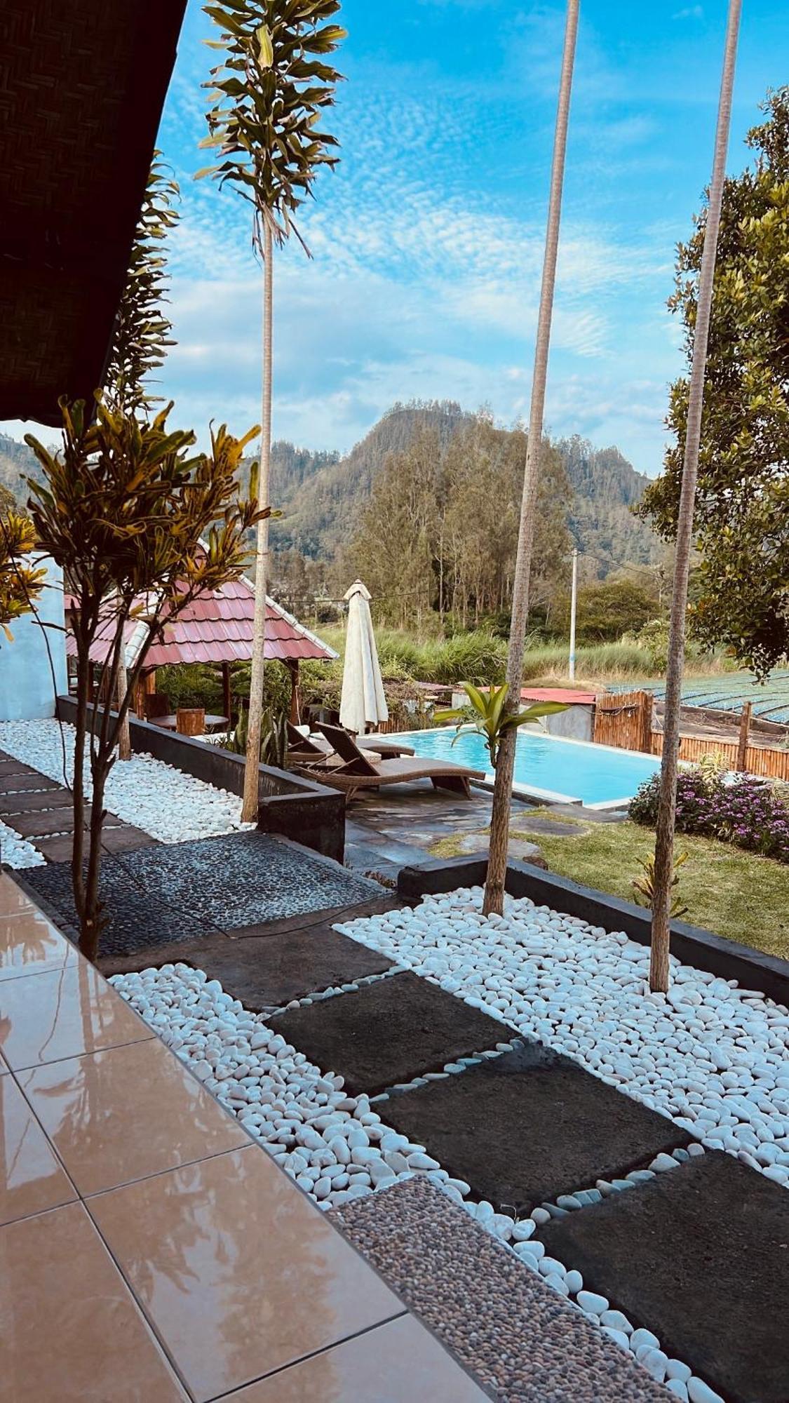 Bukit Catu Hotel Kintamani (Bali)
