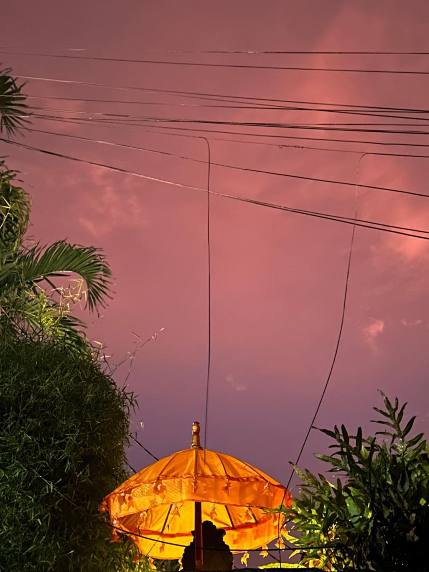 Bed & Breakfast The Nest In Ubud, Bembengan *