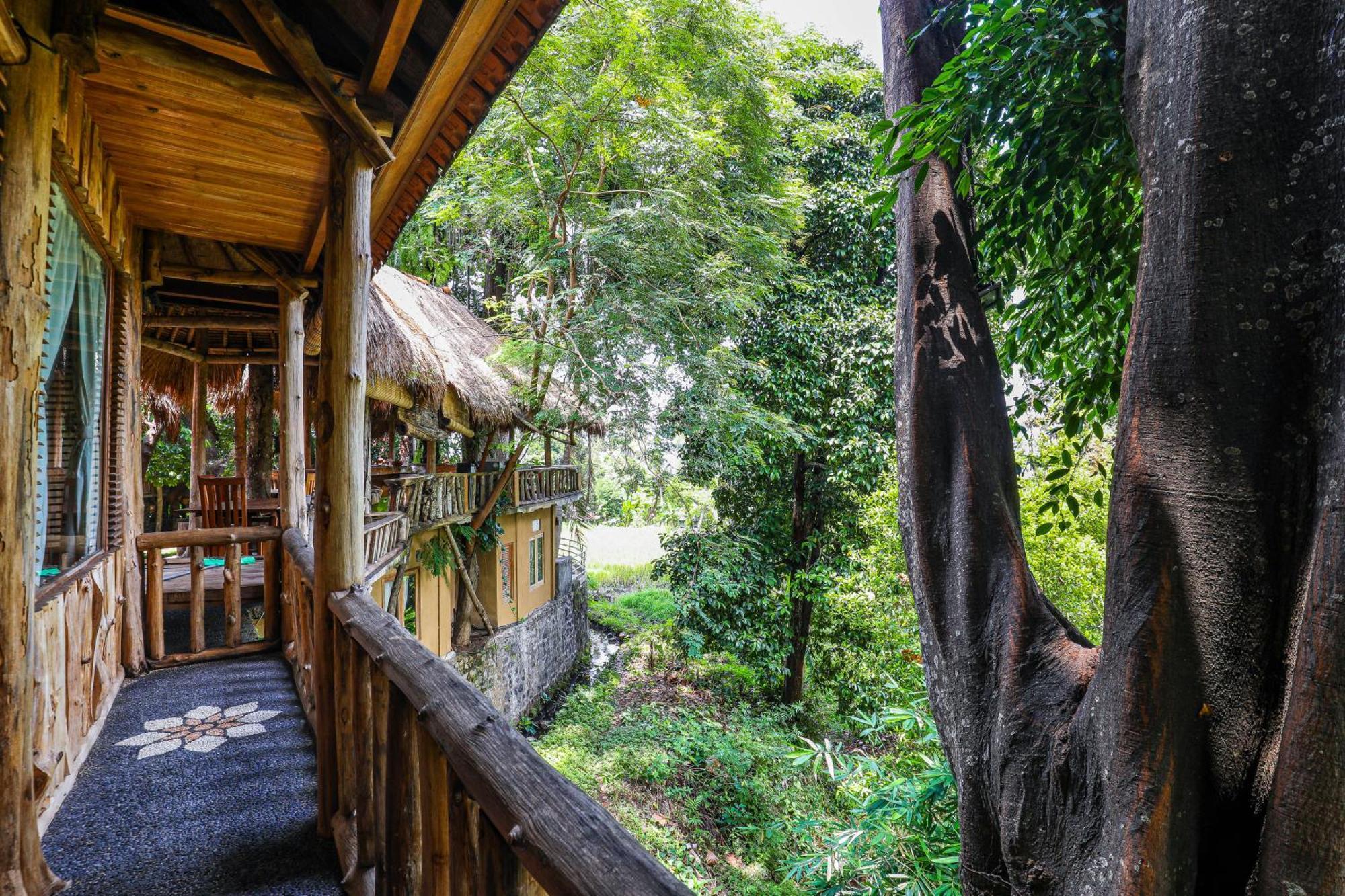 Omunity Bali 2* Singaraja (Bali)