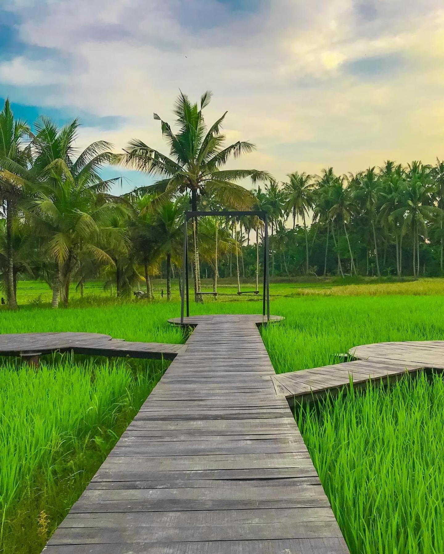 Adil & Ubud (Bali)