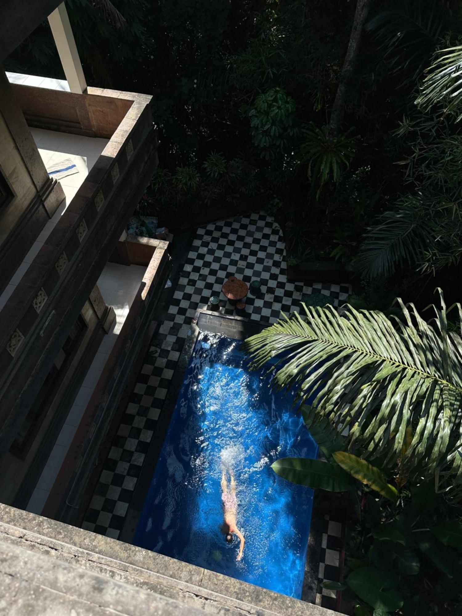 The Nest In Ubud, Bembengan * Ubud (Bali)