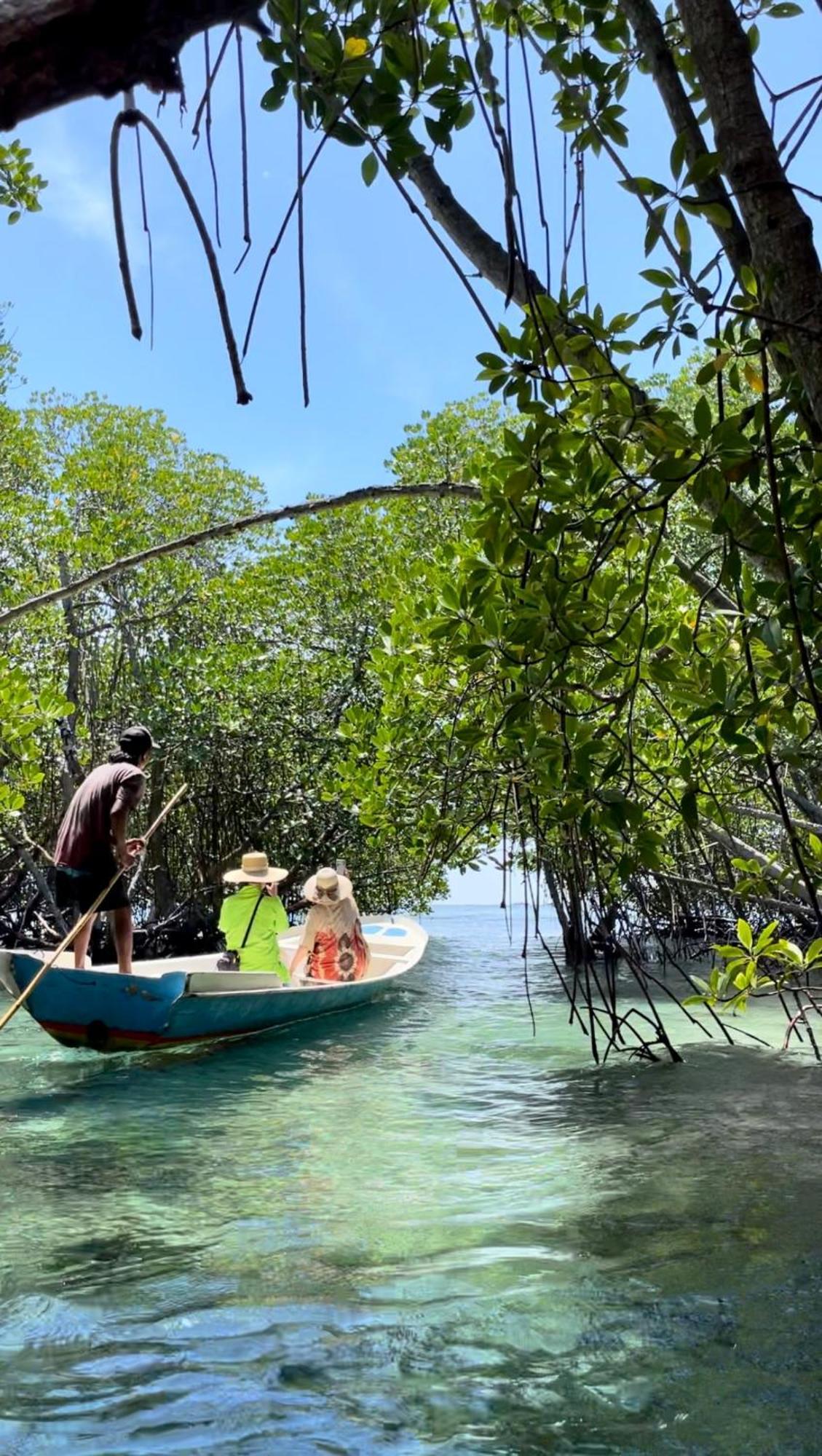 Guest house Mangrove Hut