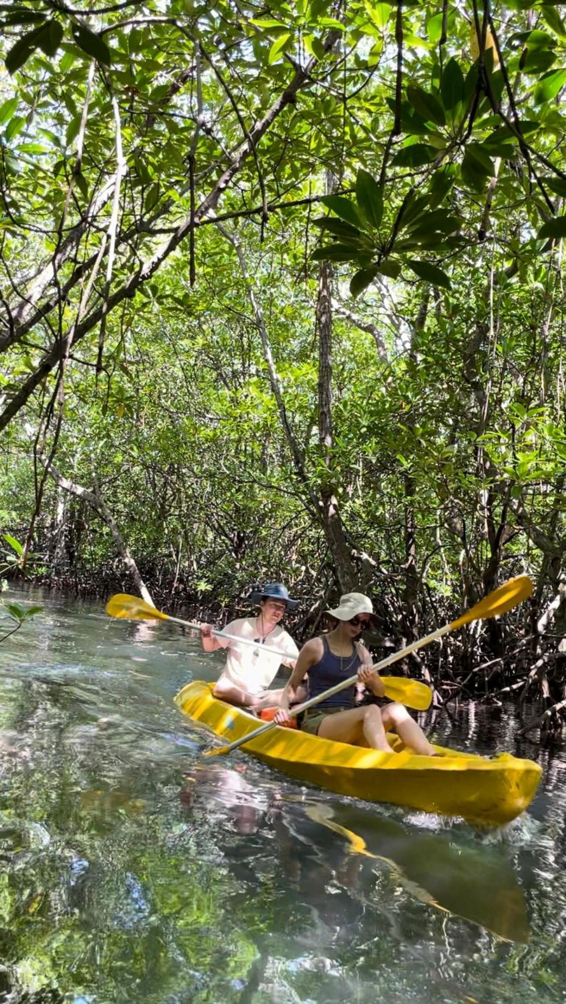 Mangrove Hut Guest house
