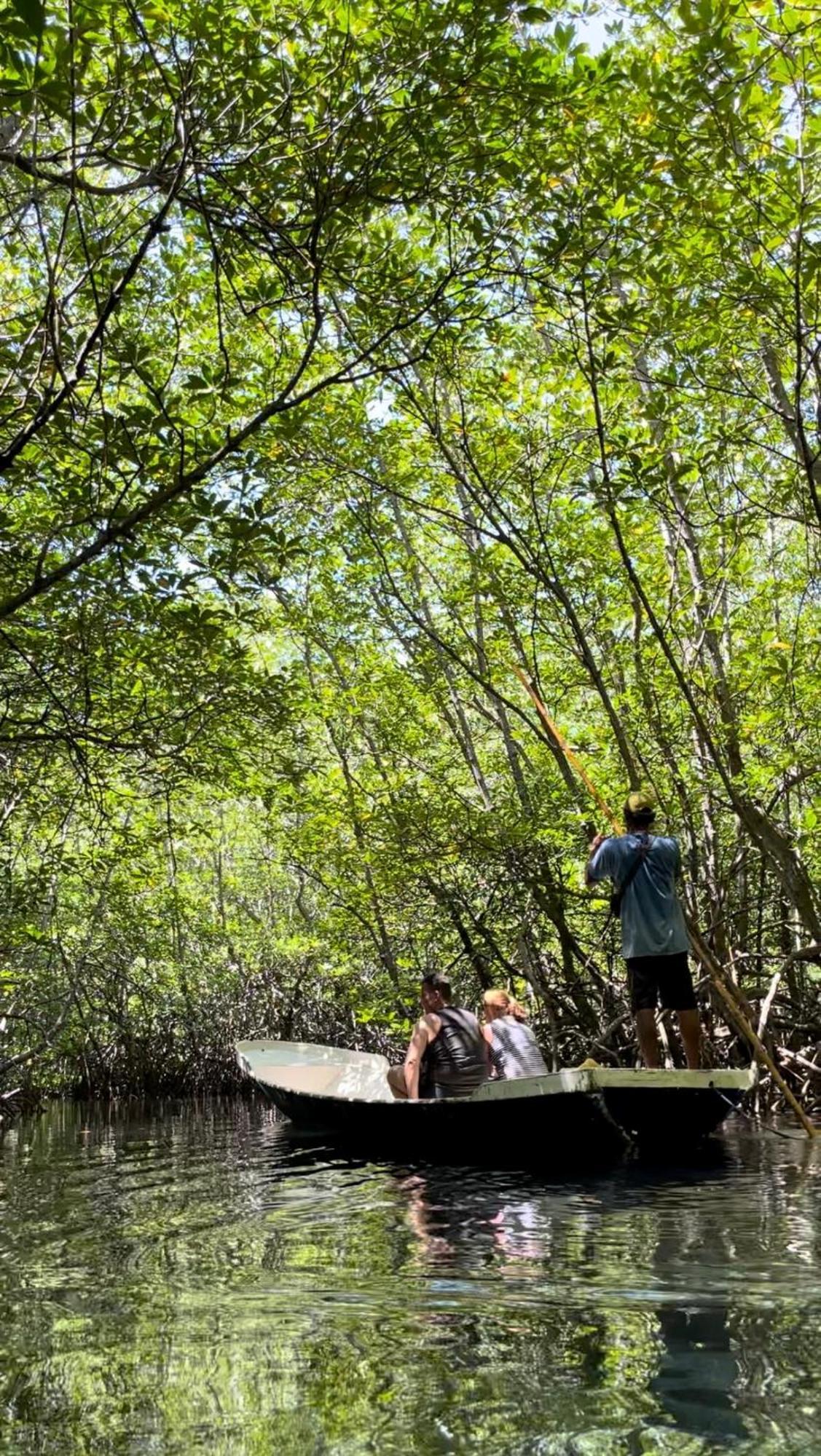 Mangrove Hut Guest house *