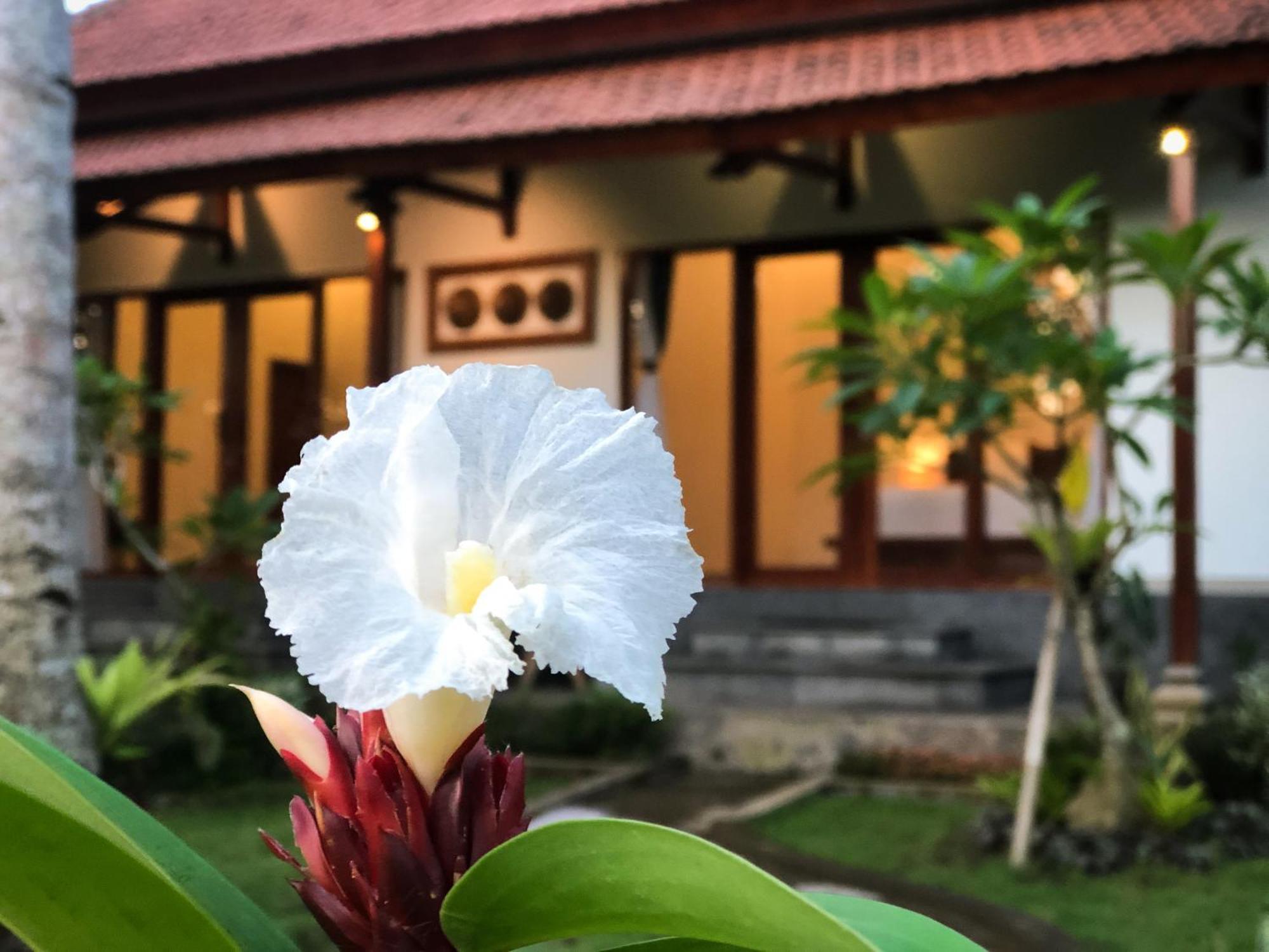 Guest house Kakiang