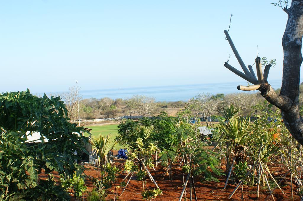 Anjing 2 4* Nusa Dua (Bali)
