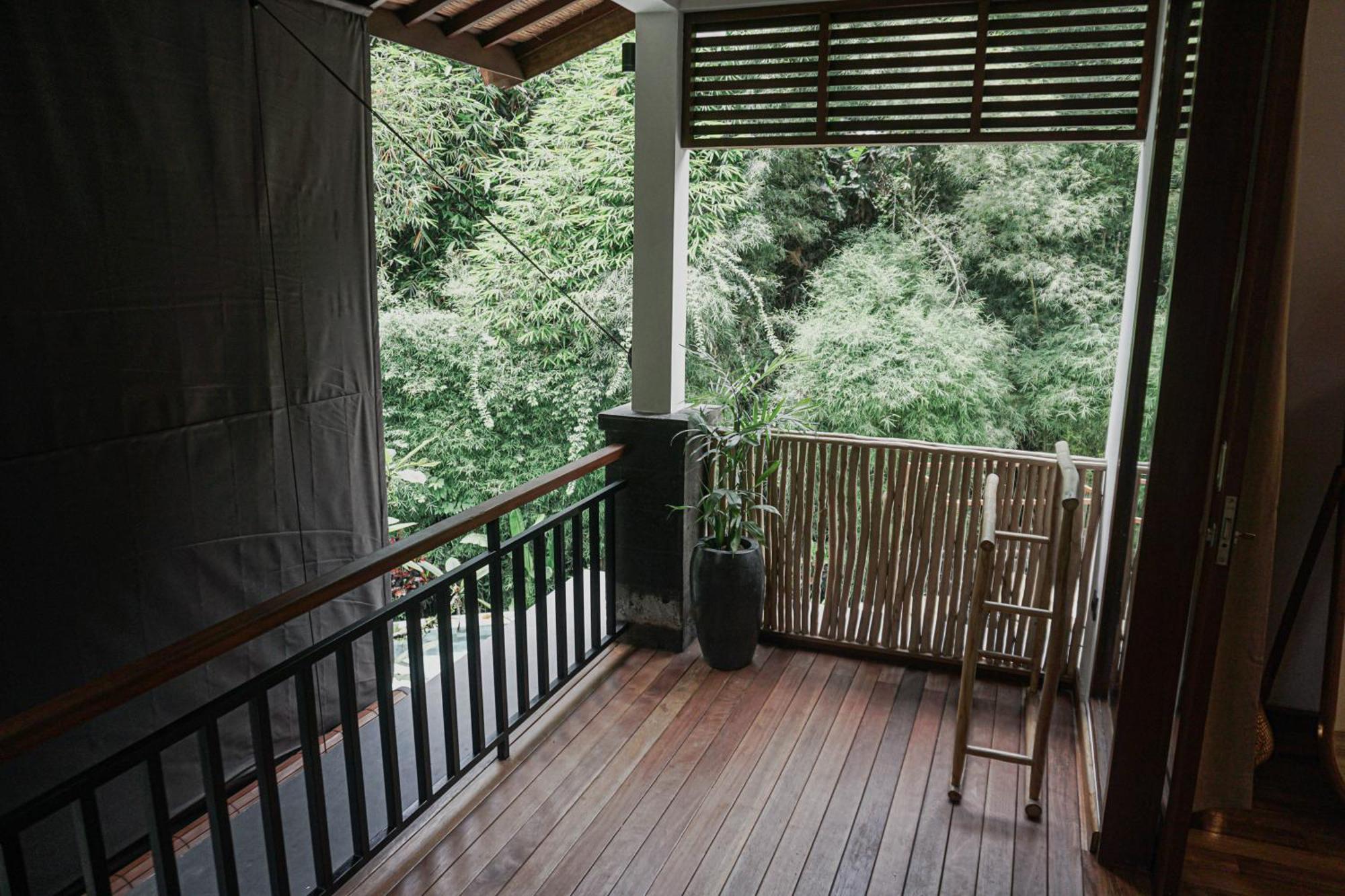 Jungle Haven