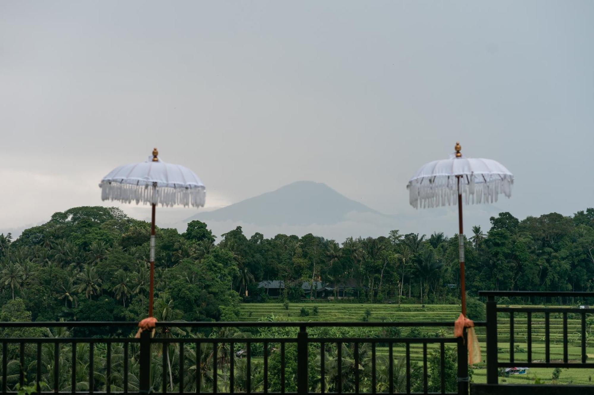 The Samaya * Ubud (Bali)