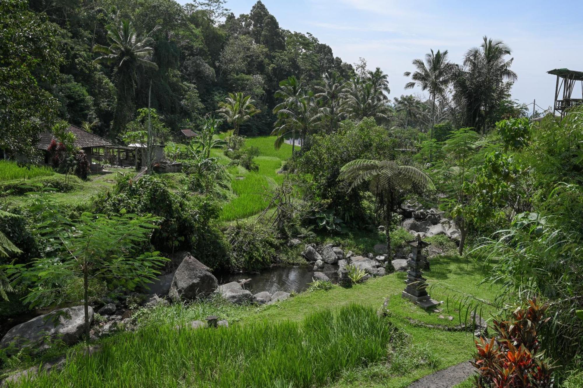 Yeh Baat Villa Jatiluwih