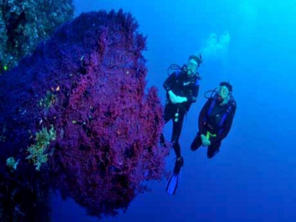 Wreck Divers & Restaurant Resort Tulamben (Bali)