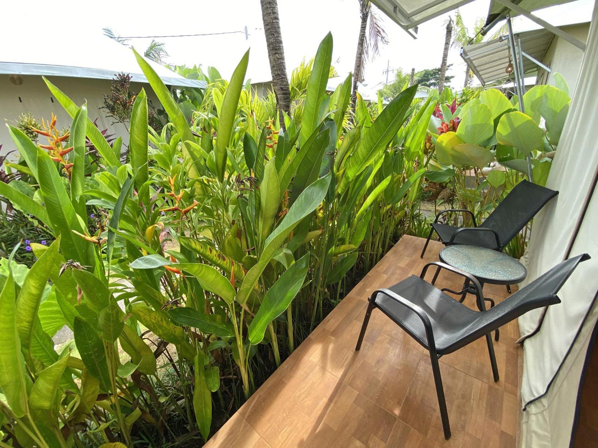 Paddy's Glamping Tenda mewah