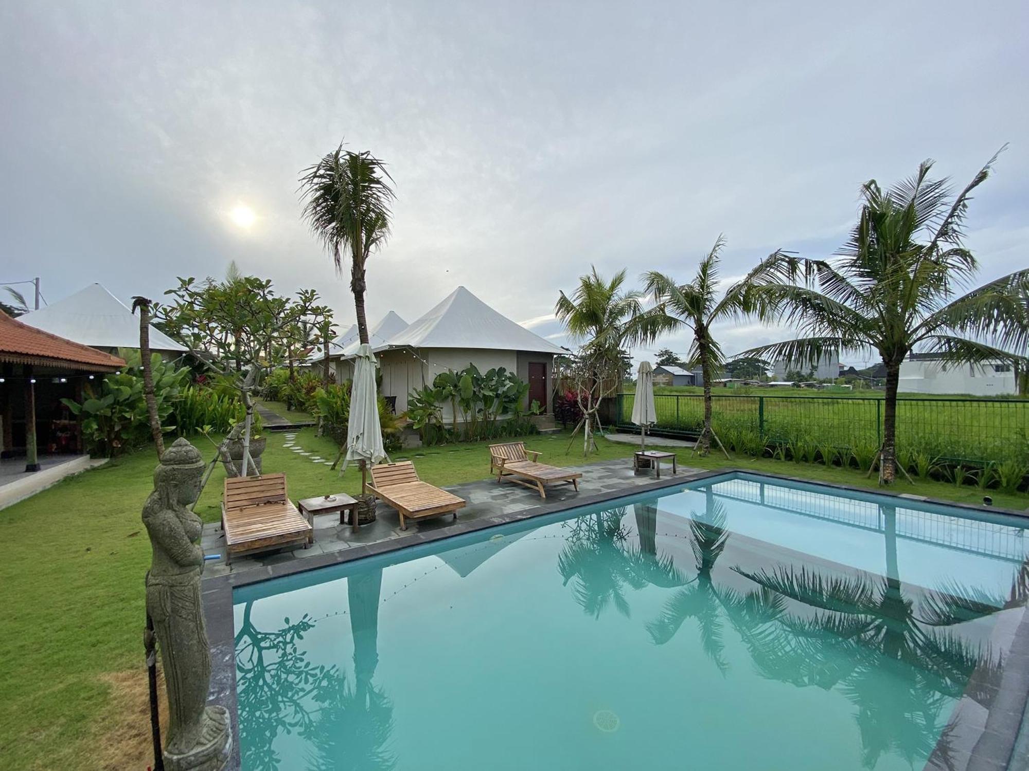 Tenda mewah Paddy's Glamping Munggu