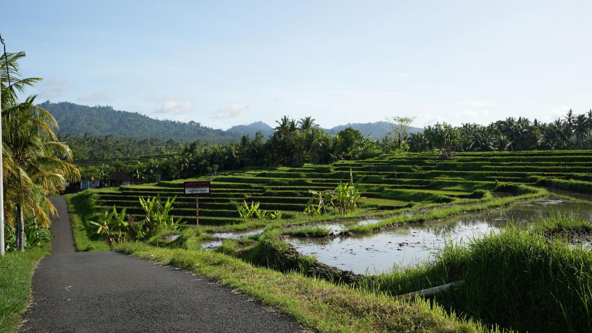 Kelapa Retreat & 5* Pulukan