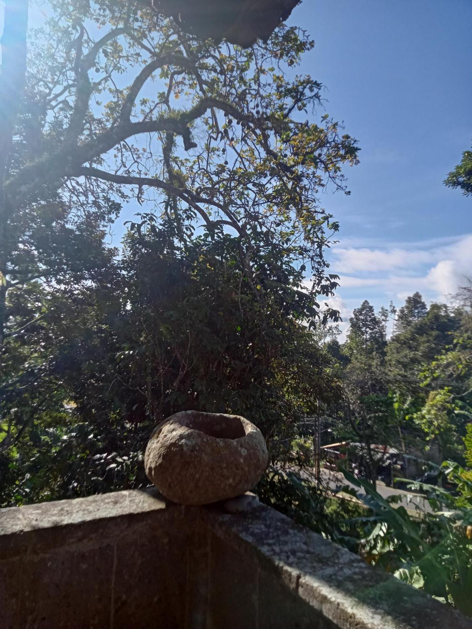 Pranamastra Bali Bed & Breakfast