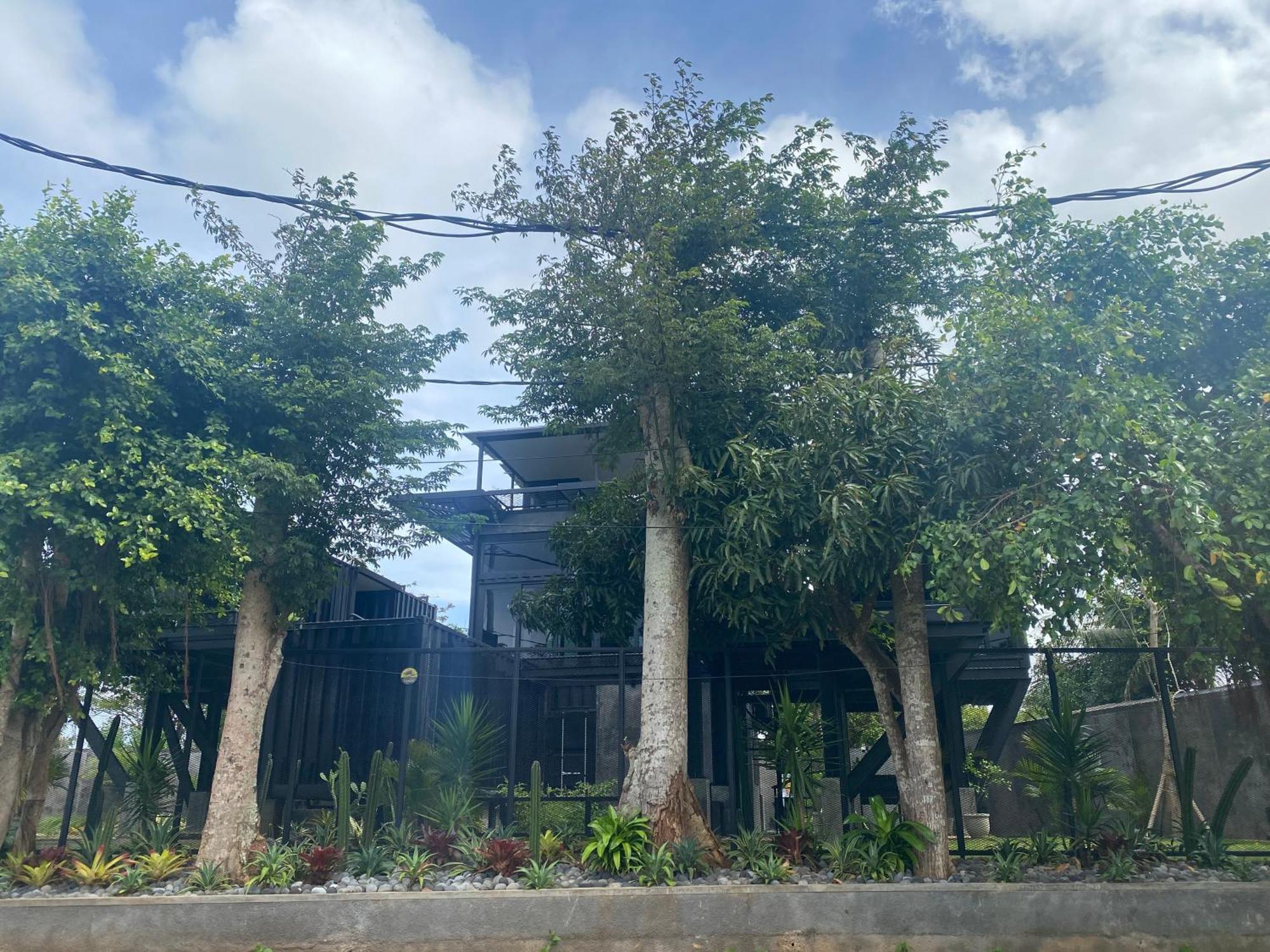 Polpo Nero * Uluwatu (Bali)