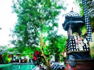 Aqua Bali Guest house Canggu (Bali)