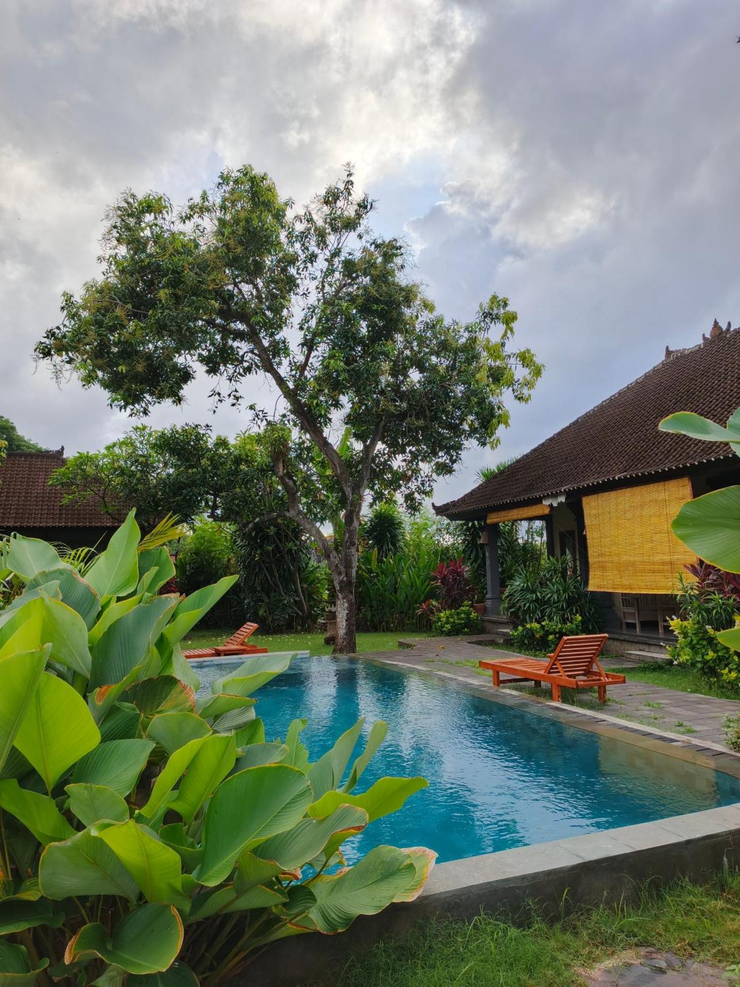 Homestay Bali Gecko Pemuteran (Bali)