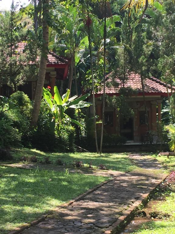 Guest house Wisata Grya Sari Banjar (Bali)